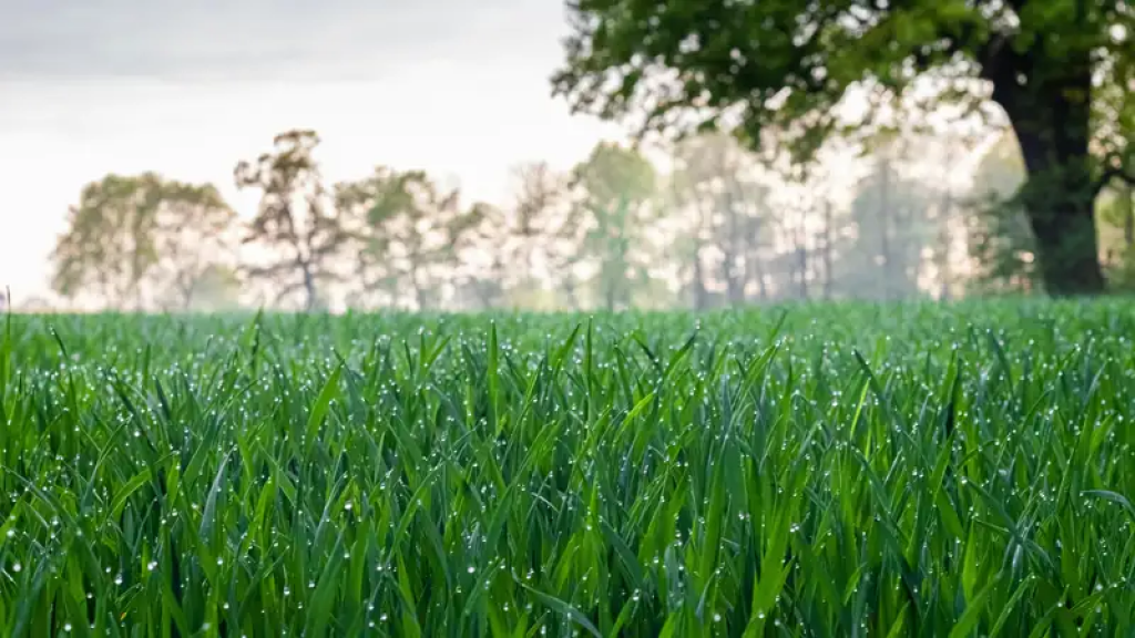 Наступление весны в Казахстане: какой будет погода в апреле