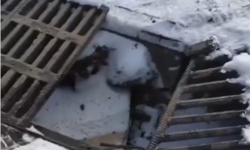 Решетку на ливневой канализации в центре Караганды восстановили