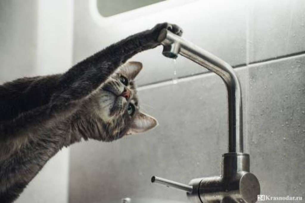 По каким адресам планируется отключение водоснабжения 1 июня в Караганде