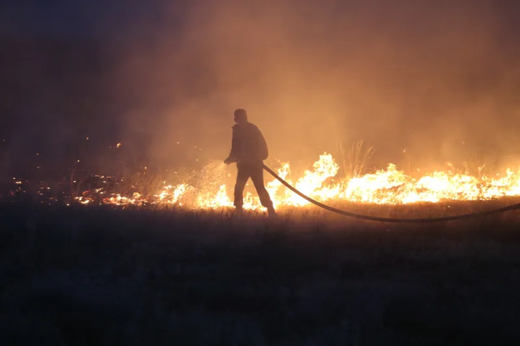 Глава Минэкологии заявил о неготовности регионов к пожароопасному периоду
