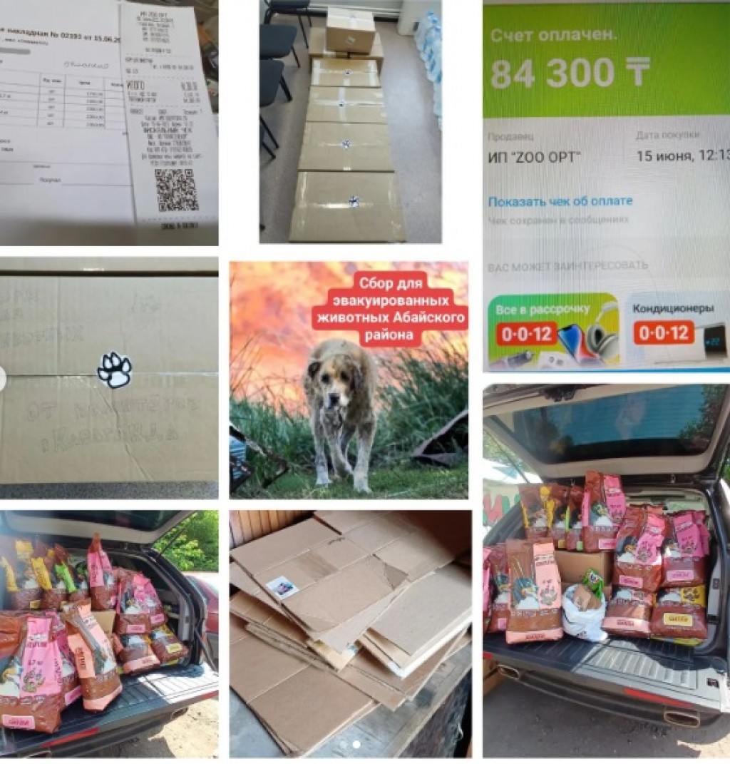 Большое количество корма для домашних животных Абайского района собрали карагандинские волонтёры