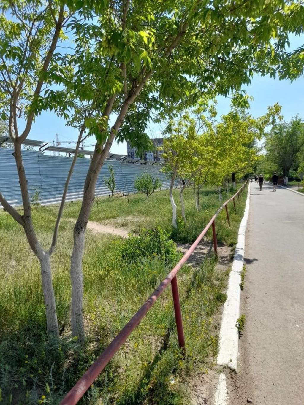 На территории одной из школ Юго-востока началось строительство. Что там появится?