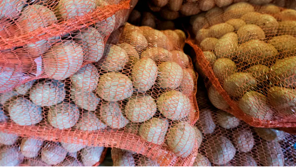 «Достаточно, чтобы дожить до мая» - министр о запасах картофеля в Казахстане