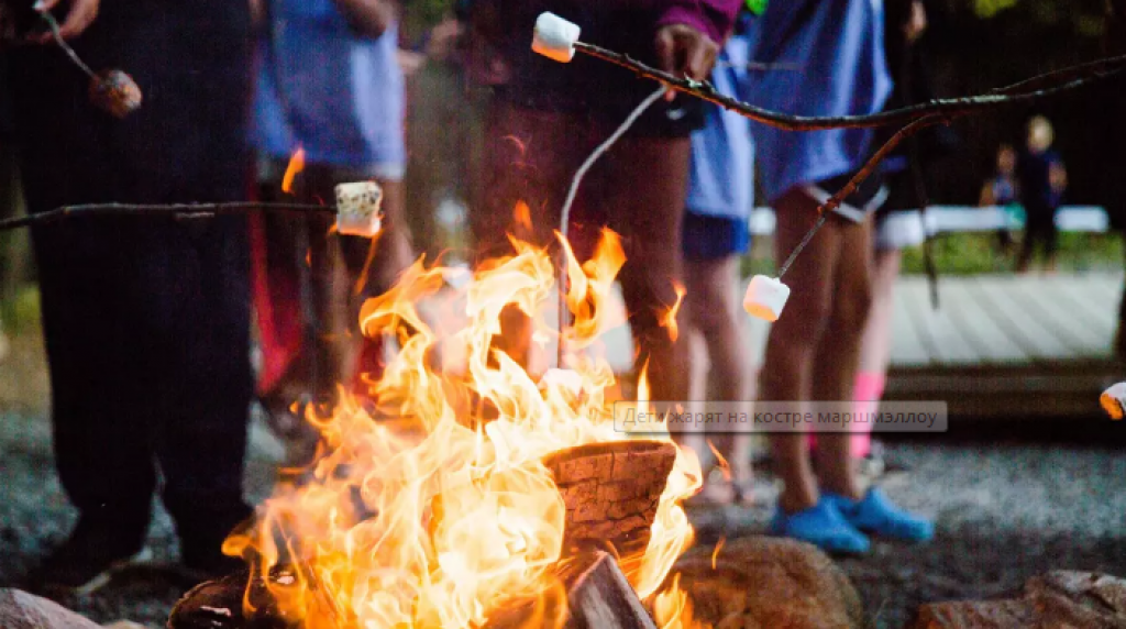 Ученики каких школ смогут бесплатно отправиться в летние лагеря в Казахстане