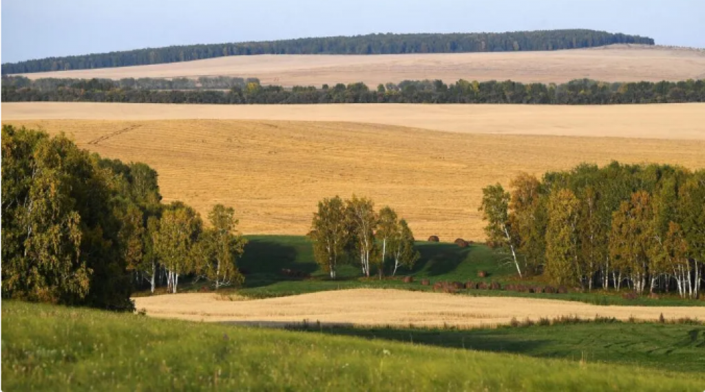 В Казахстане выявили тысячи нарушений использования сельхозземель