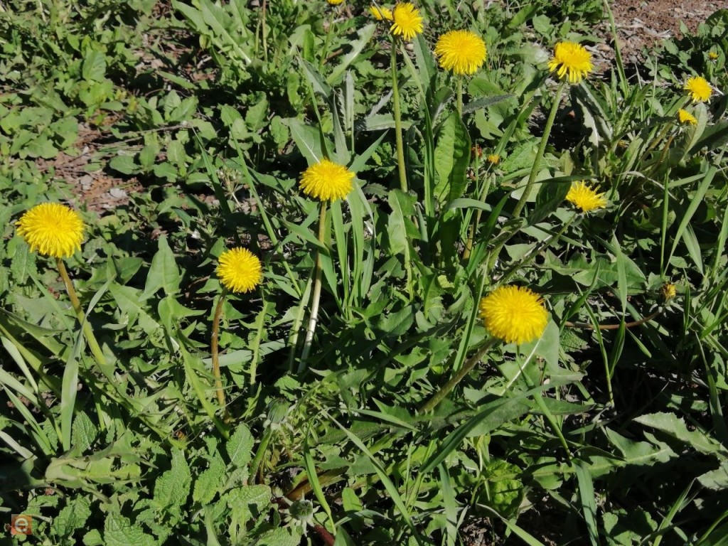 Погода на выходные: Караганду и область ждёт резкий перепад температуры