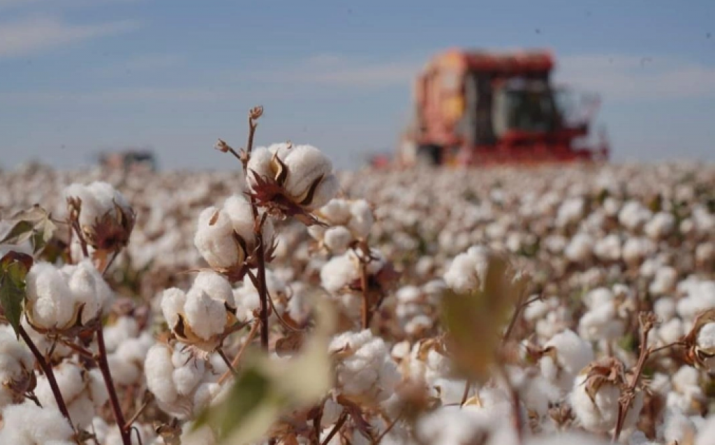 Жаңалық жүргізуші аяқталуда