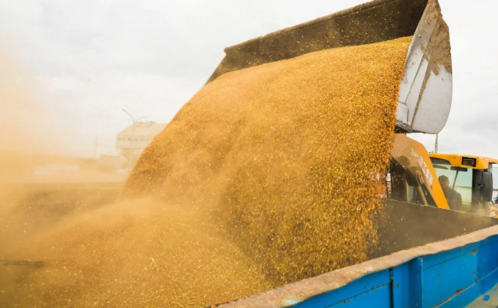 Правила по управлению фуражным фондом утвердили в Казахстане