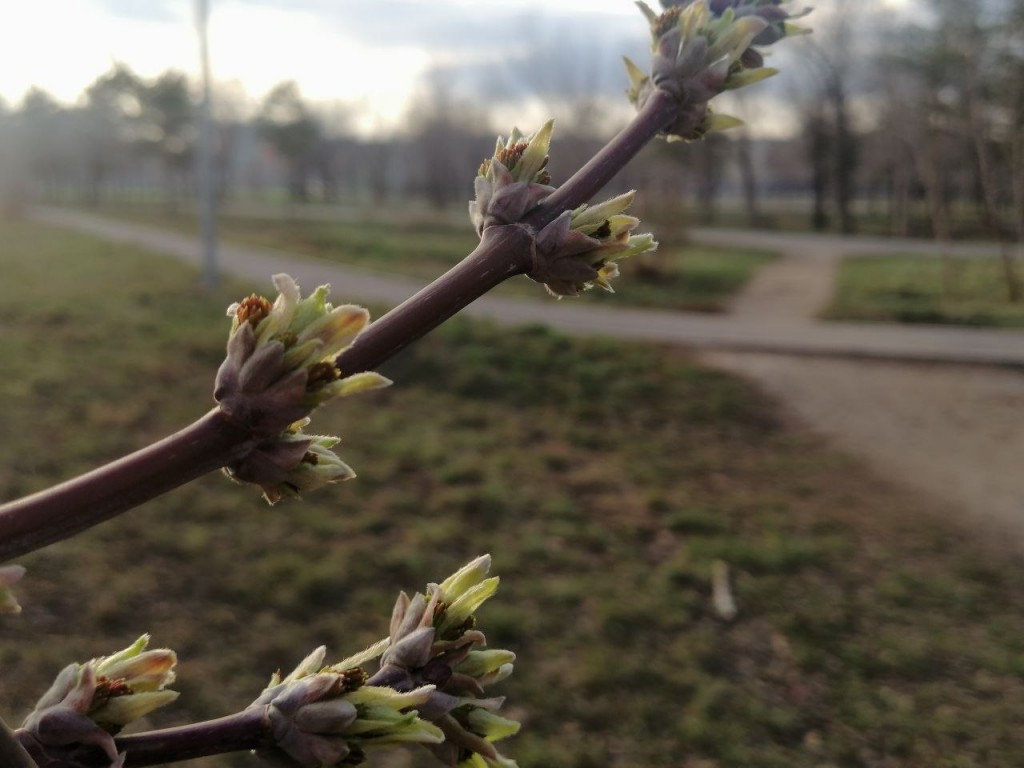 Погода на 7 апреля: чего ждать жителям Караганды и области