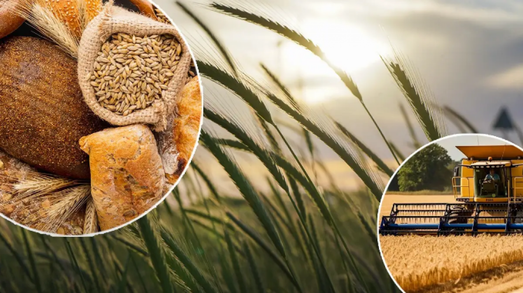 Диверсификацию посевов и новые стандарты урожайности ввели в Казахстане