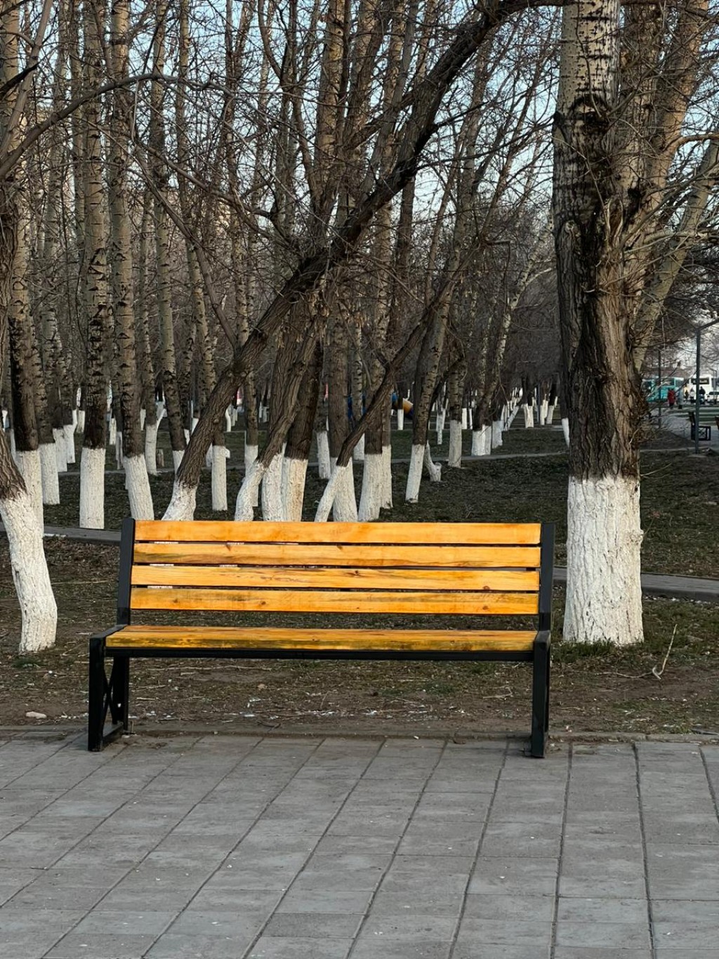 В нескольких мини-скверах Караганды заменили скамейки