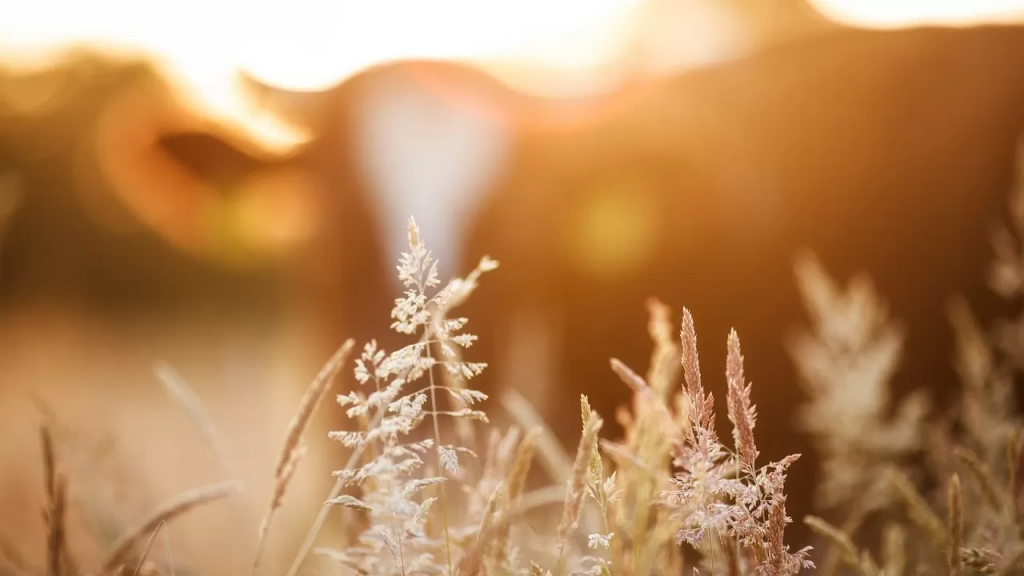 Массовую диагностику и вакцинацию начали ветеринарные службы Казахстана