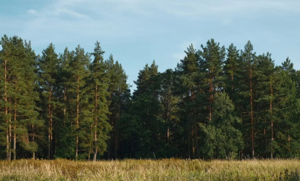 В Казахстане утверждены формы нагрудного знака егеря и спецодежды