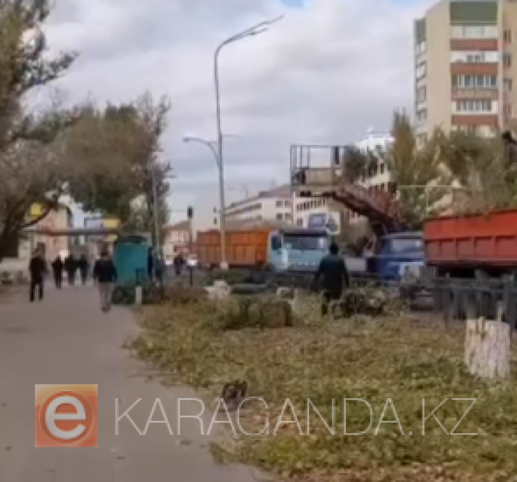 В Караганде на улице Гоголя спиливают деревья: в акимате объяснили причину