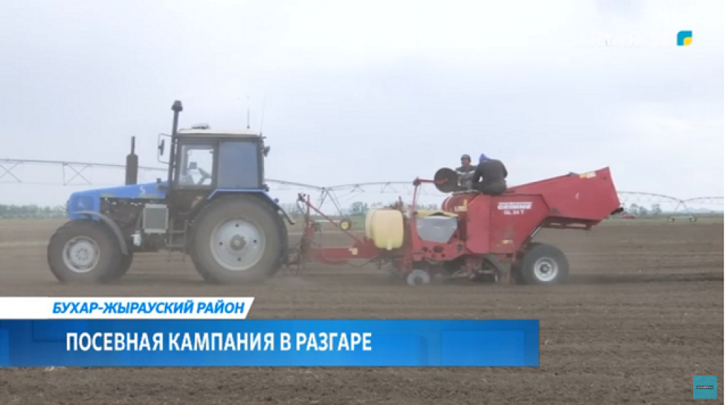 В Бухаржырауском районе в разгаре посевная кампания