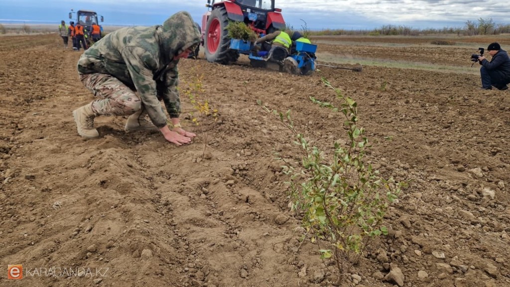 Казахстан переходит к прогрессивной агроэкономике