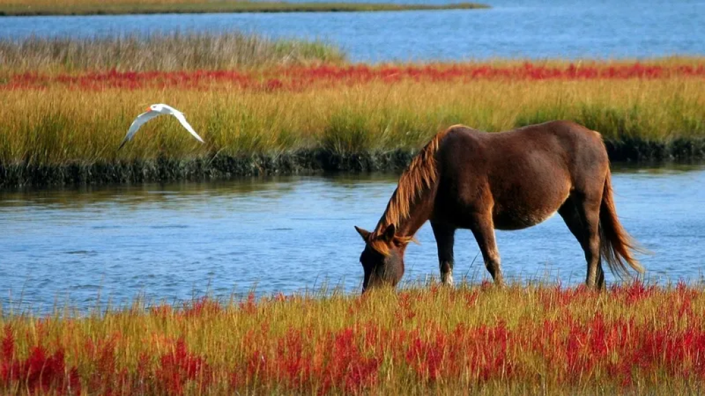 Казахстанцы стали пить больше кумыса