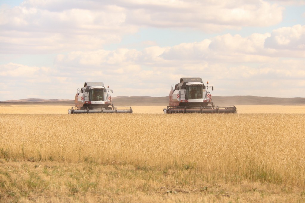 Удешевлённое дизельное топливо смогут приобрести фермеры Карагандинской области для посевных работ