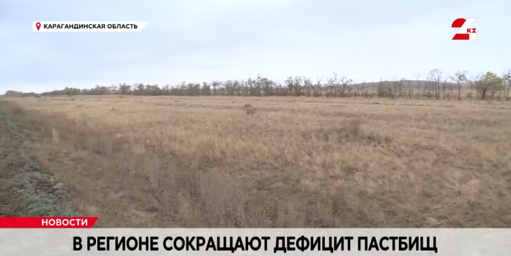 Дефицит пастбищ сокращают в Карагандинской области