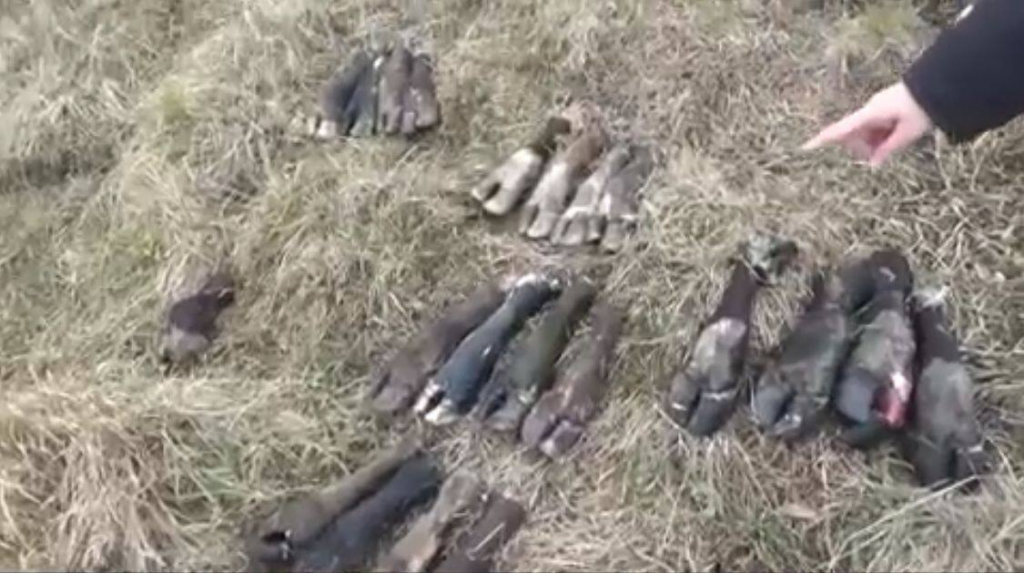 Полицейлер Қарағанды облысында мал ұрлығының сериясын ашты