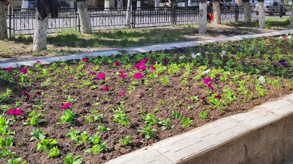 В Караганде начали высаживать цветы