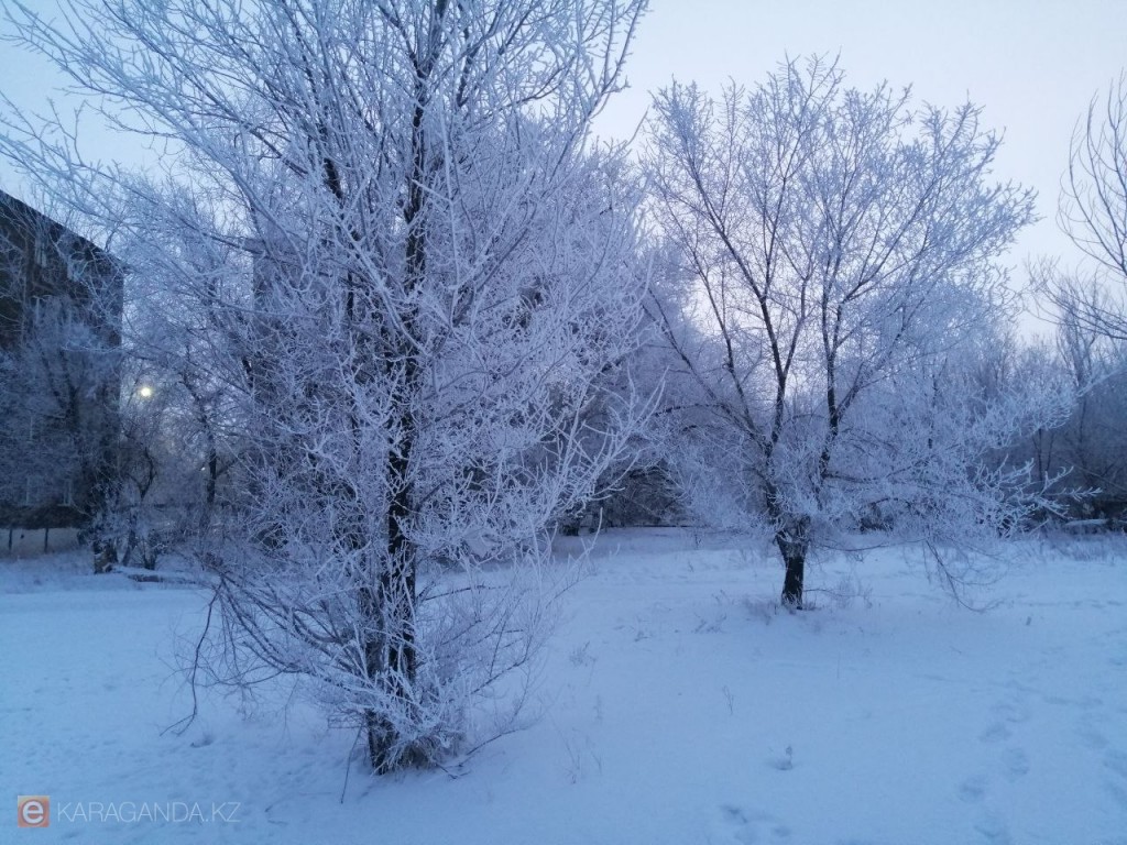 Погода на 30 января — мороз и ясное небо в Караганде и области