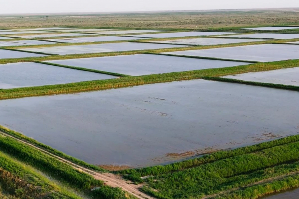 Казахстан снижает зависимость от трансграничных рек