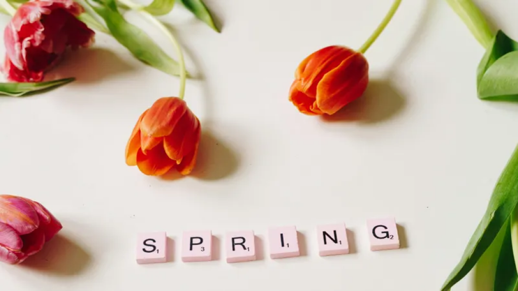 Какой будет погода в апреле в Казахстане