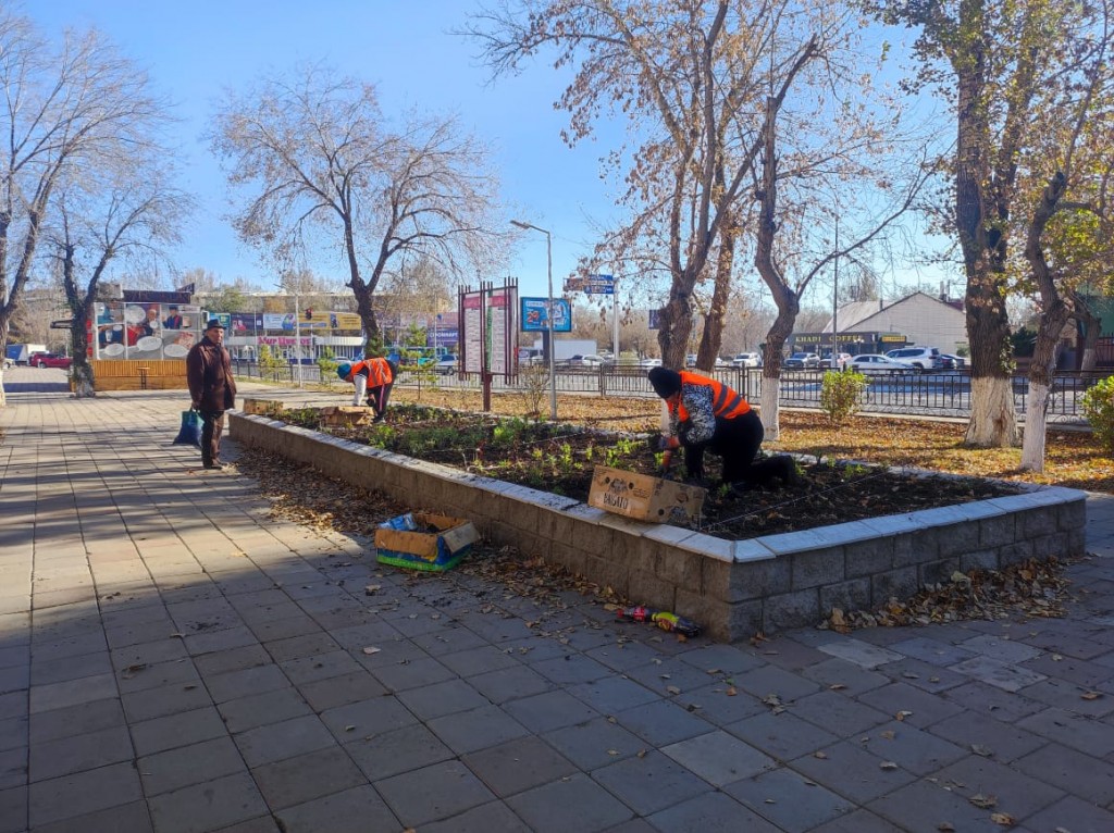 В Караганде начали высаживать многолетние цветы