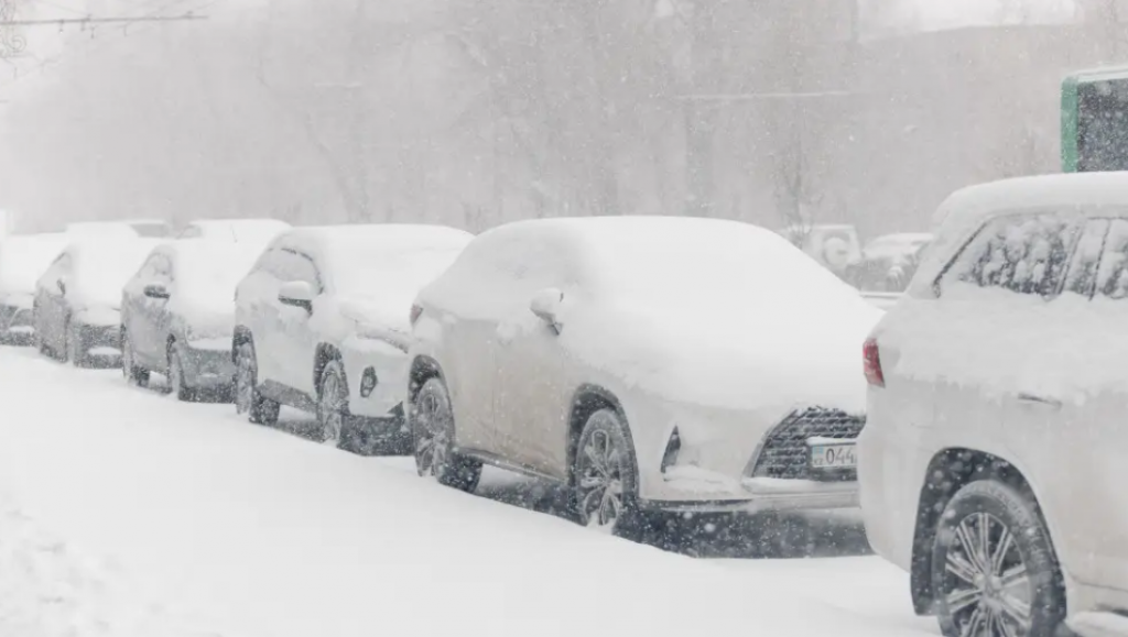 «5 минут достаточно»: казахстанцы снимают видео в ответ министру экологии