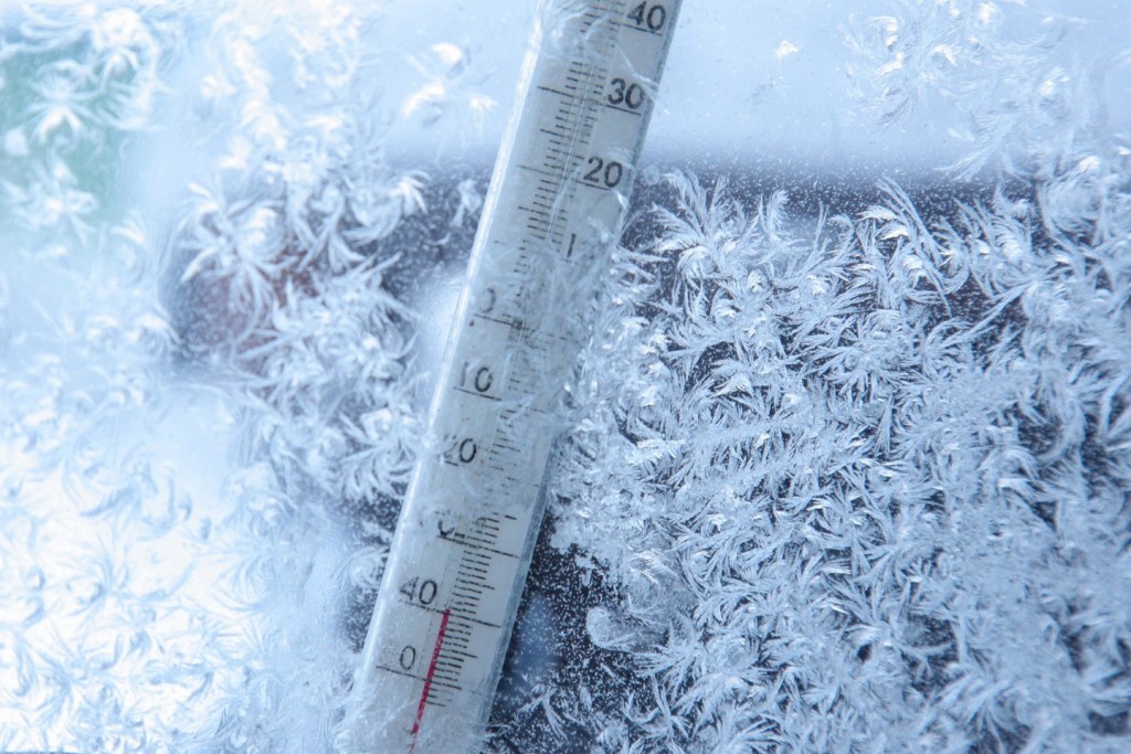 В Караганде ученики первой смены начальной школы 16 января переведены на дистанционку