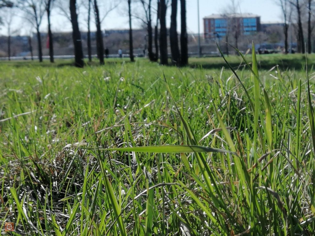 Погода на 1 мая: в Караганде и области ожидается по-настоящему весенний день