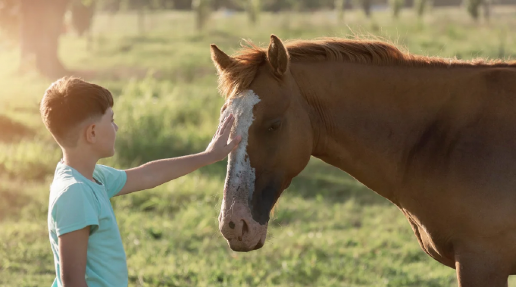 Иппотерапию планируют включить в клинический протокол медреабилитации в РК