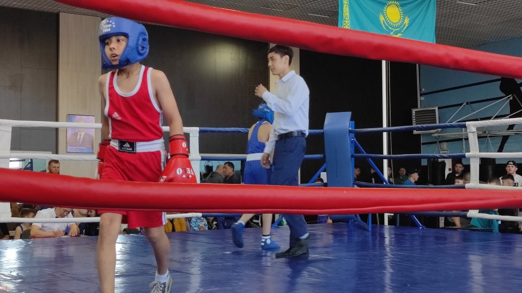 Подушевое финансирование введут в ДЮСШ Казахстана