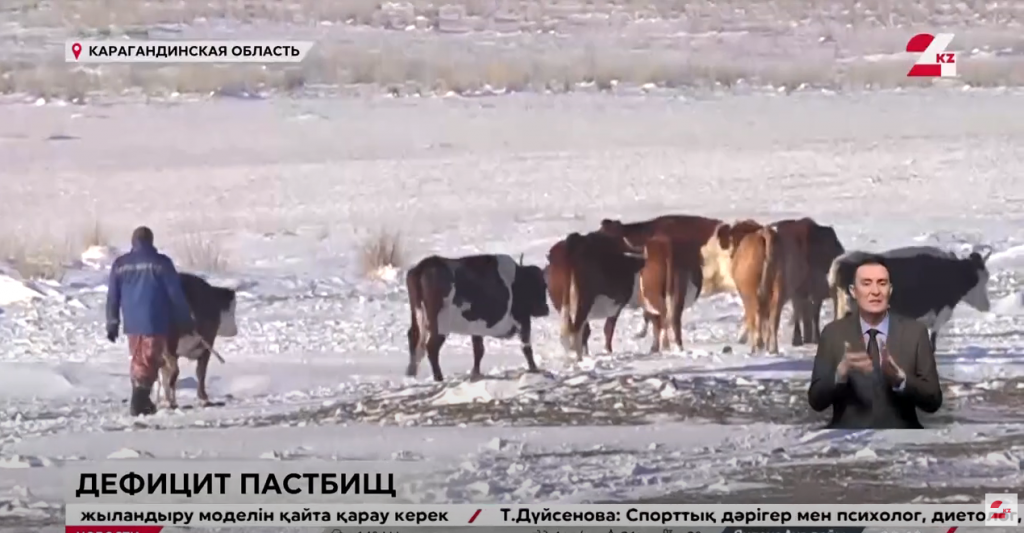 Угодий для выпаса скота не хватает в Шетском районе