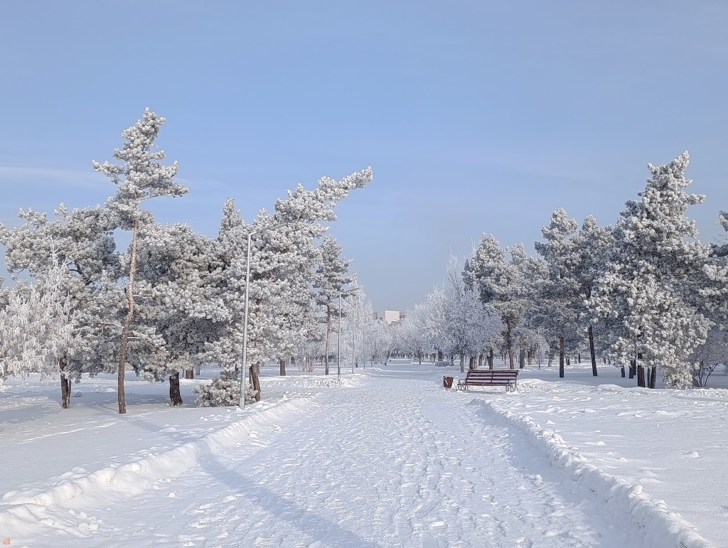 Ауа райы 12 ақпан: Қарағанды облысында аяз, тұман және ықтимал қар