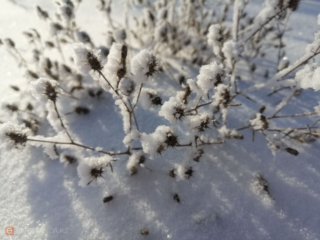 Снег и мороз: прогноз погоды на 27 января в Караганде и области
