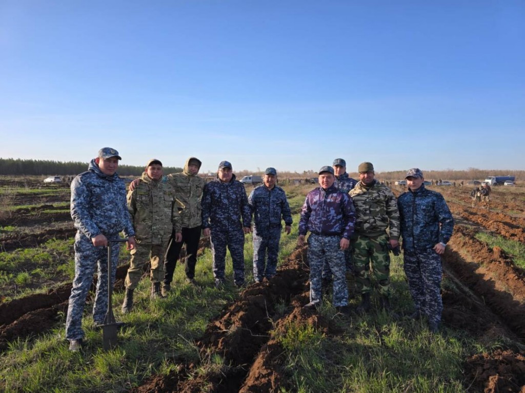 Саженцы хвойных пород высадили в выгоревшем лесу сотрудники карагандинской колонии