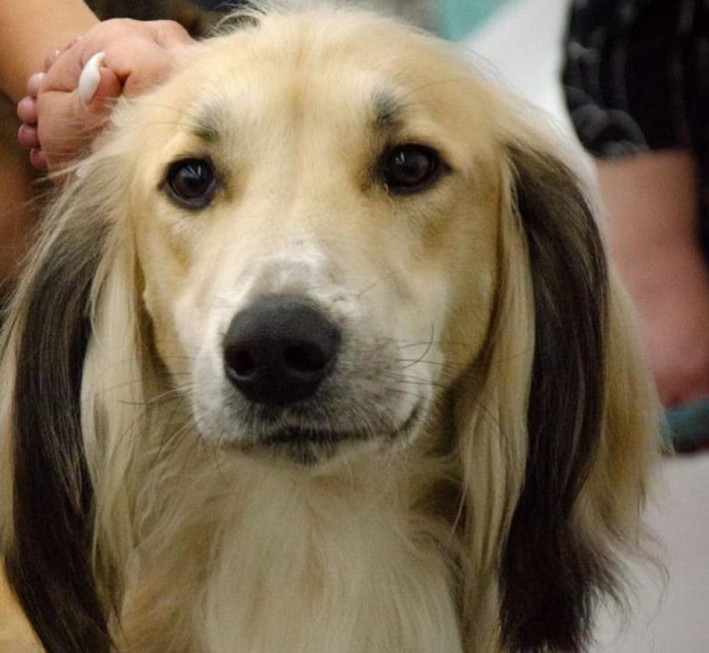 Олар құлды тексереді