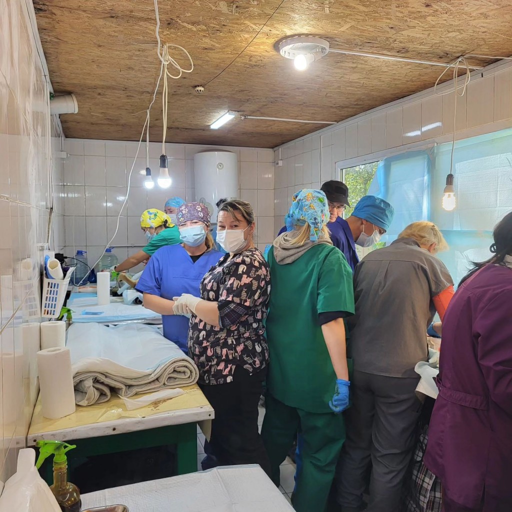 В Караганде подвели итоги акции по стерилизации животных за счет фонда Брижит Бардо