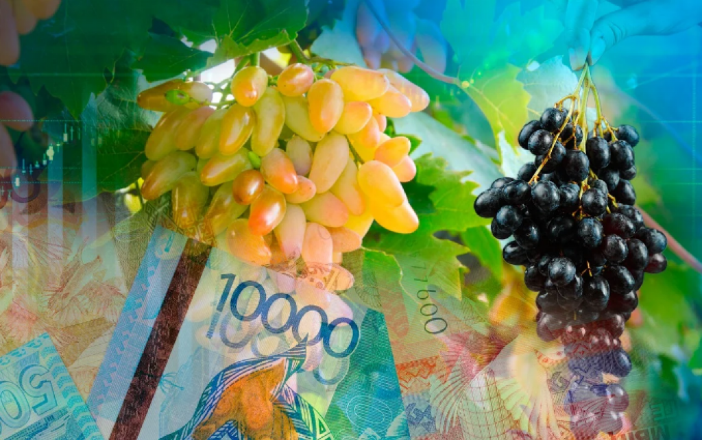 Сколько стоит виноград в Казахстане
