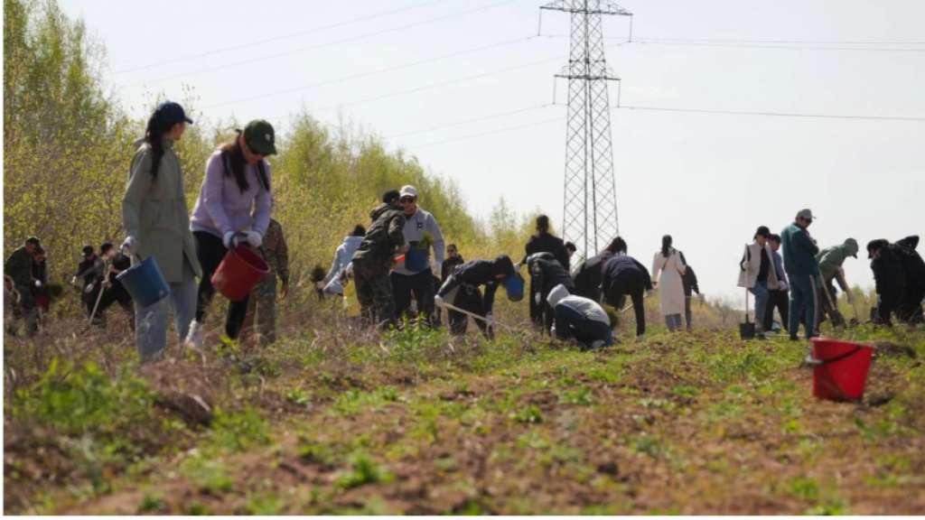В населённых пунктах Казахстана высажено свыше 14 миллионов деревьев с 2021 года
