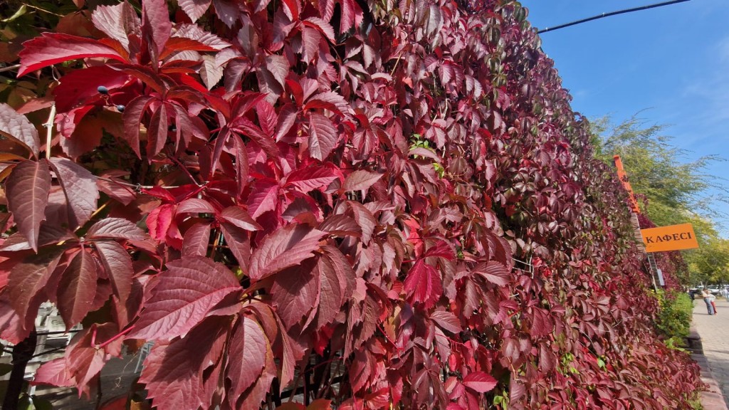 Бабье лето? В Казахстане потеплеет до +28°C