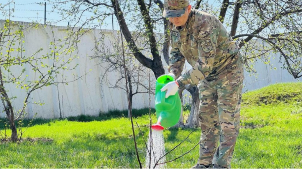 Спасатели МЧС высадили свыше 5000 деревьев в рамках акции «Таза Қазақстан»