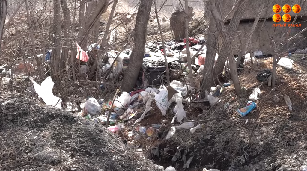 Михайловкадағы жеке сектор тұрғындары өз аулаларында қоқыс үйінділерінен зардап шегеді