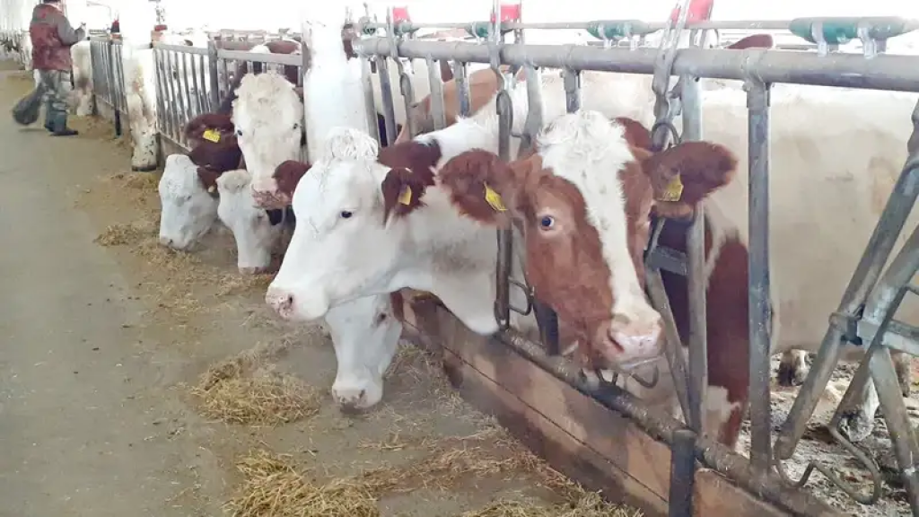 В Казахстане пройдет сельскохозяйственная перепись в 2025 году