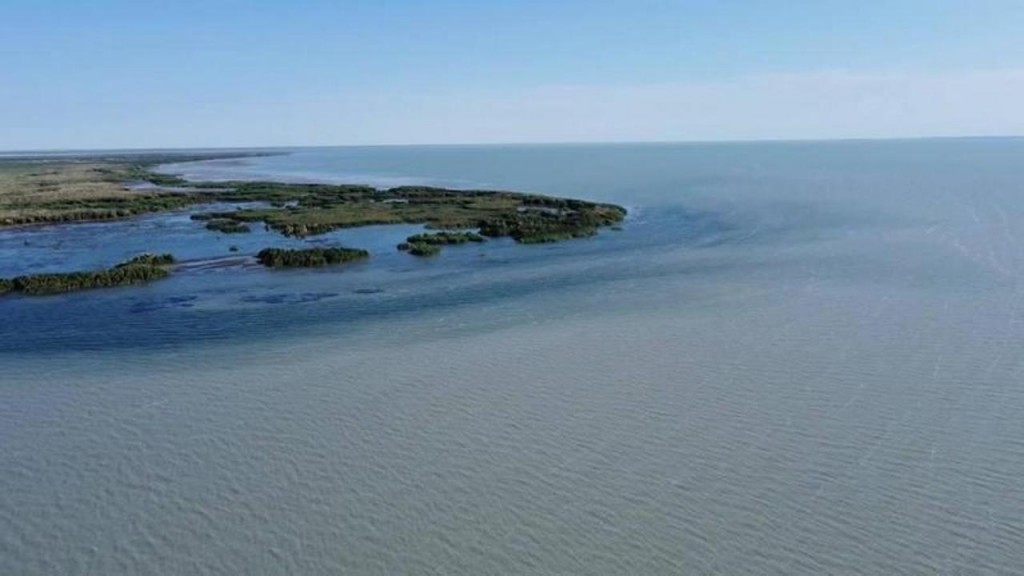 Балқашта балық қорының жағдайы зерттелуде