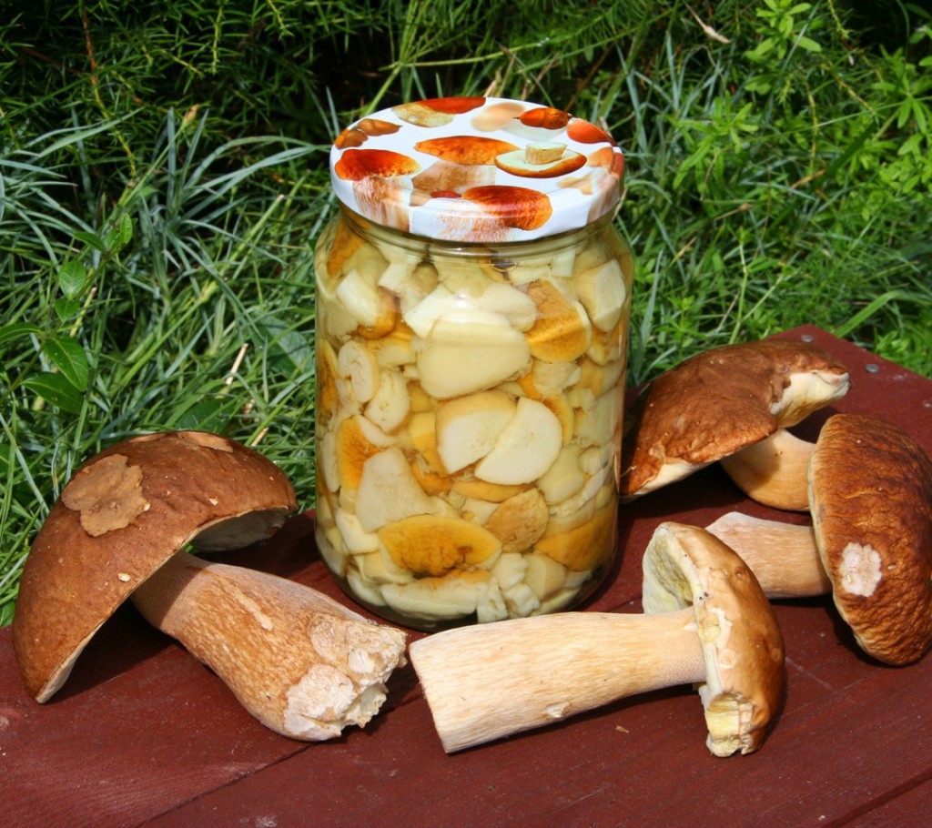 Это все грибы: карагандинцев предостерегают от заболевания ботулизмом