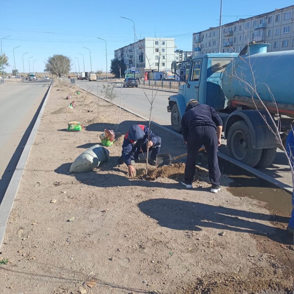 В Балхаше ко Дню Республики посадили деревья