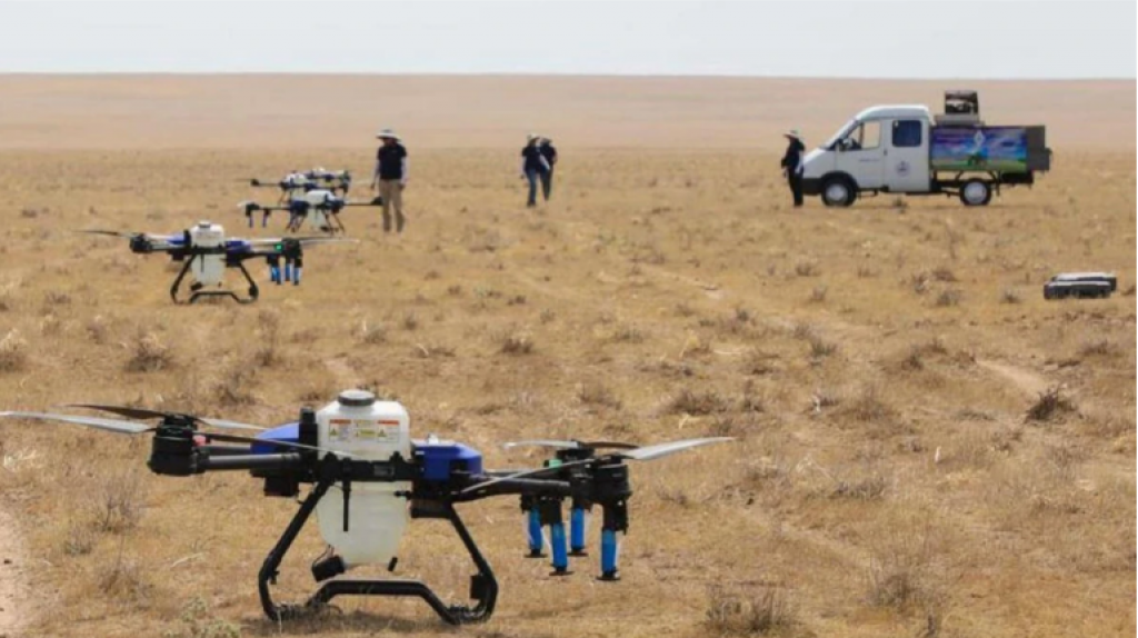 Саранчовая угроза: в 14 регионах Казахстана обработано более 464 тысячи гектаров сельхозугодий